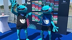 A FINA kabalái