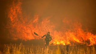 İspanya'da Sierra de la Culebra'aki yangına müdahale eden bir itfaiye eri