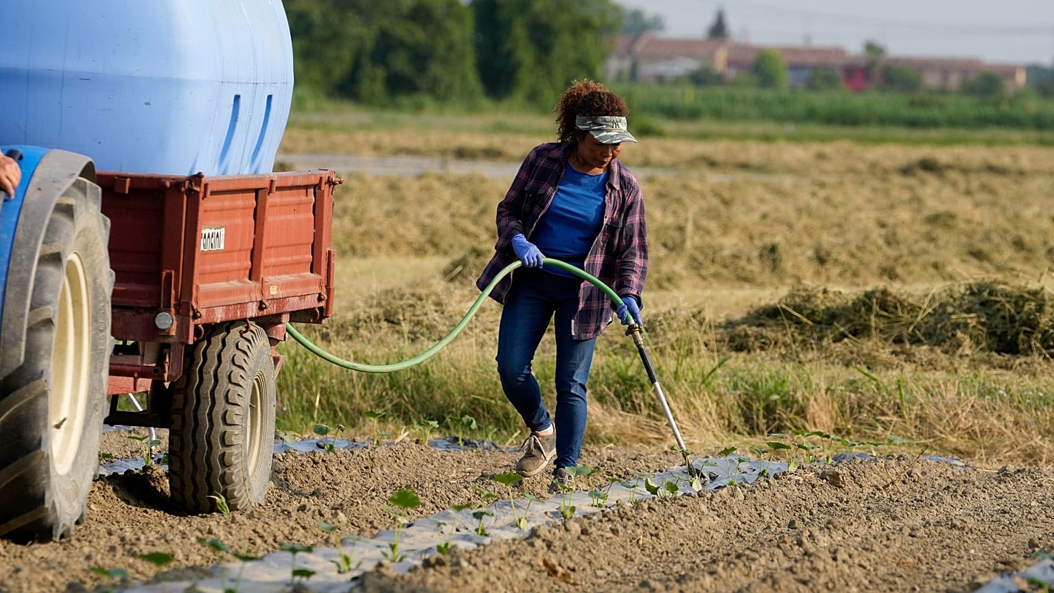Agricultrices irriguant un champ de citrouilles à l'aide d'une pompe élévatrice d'eau près du fleuve Pô à Guastalla, en Italie, mercredi 15 juin 2022.
