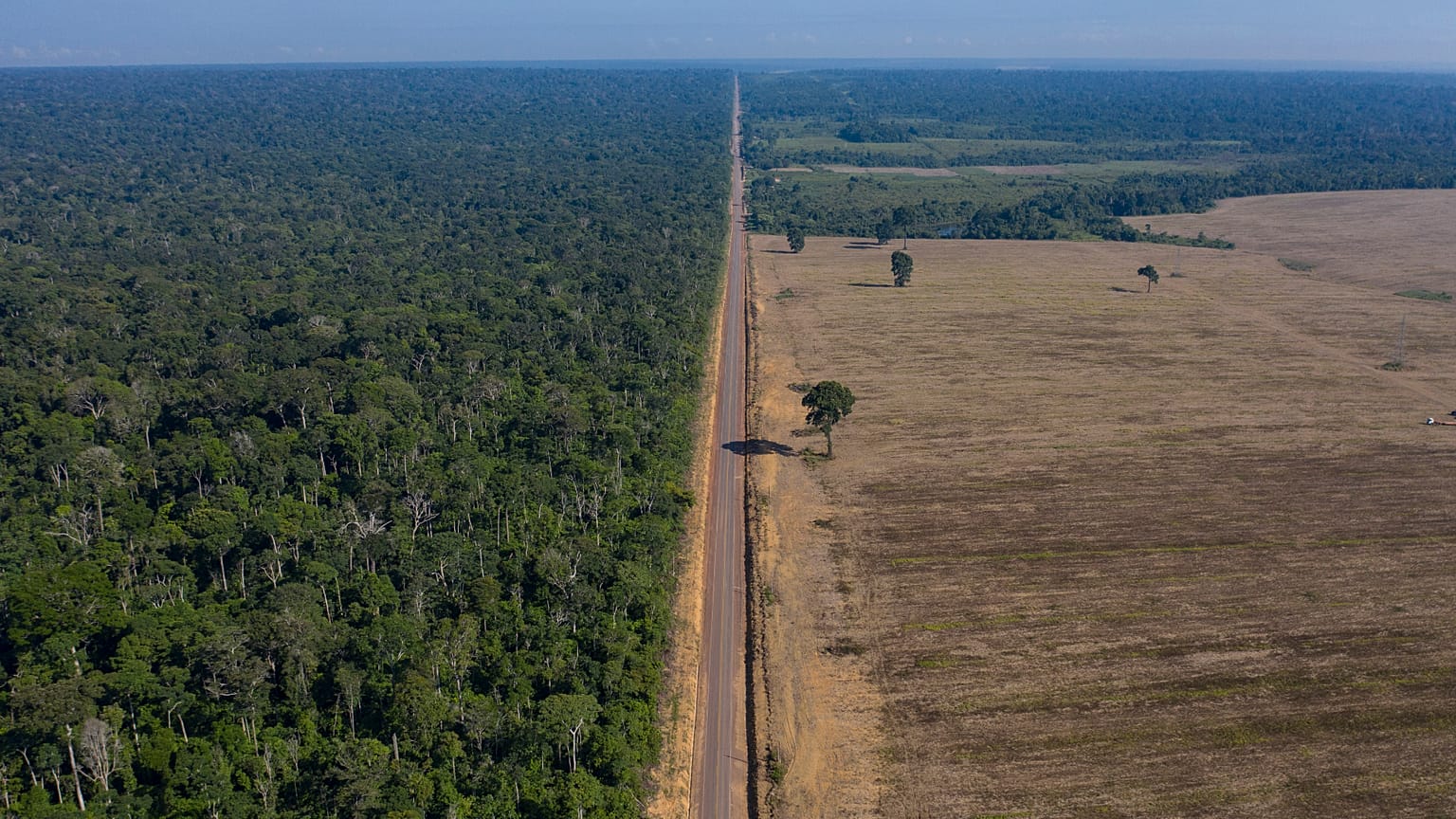 Imagem de novembro de 2019 da autoestrada BR-163 no Estado do Pará, Brasil