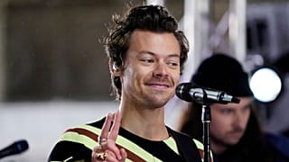 Styles is currently is currently on his ;Love on Tour' tour