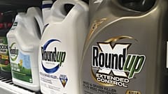 Archives : bidons de Roundup dans un magasin de San Francisco en février 2019 