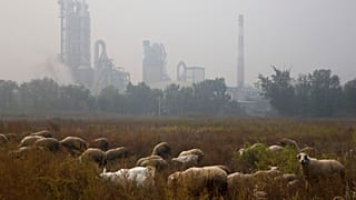 Emisiones de dióxido de carbono