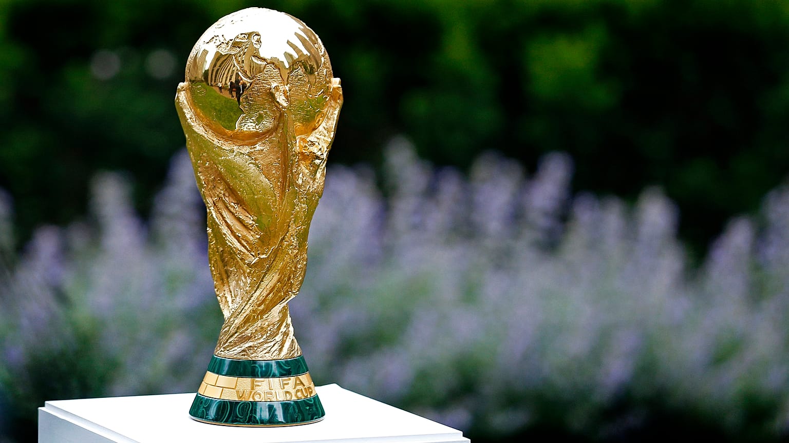 كأس العالم 