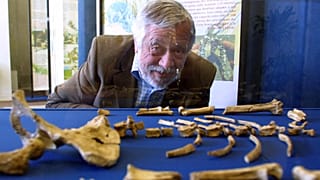 Archives : Yves Coppens devant le squelette de Lucy, à Carnac à l'occasion d'une exposée consacrée à cette australopithèque, en juillet 2004
