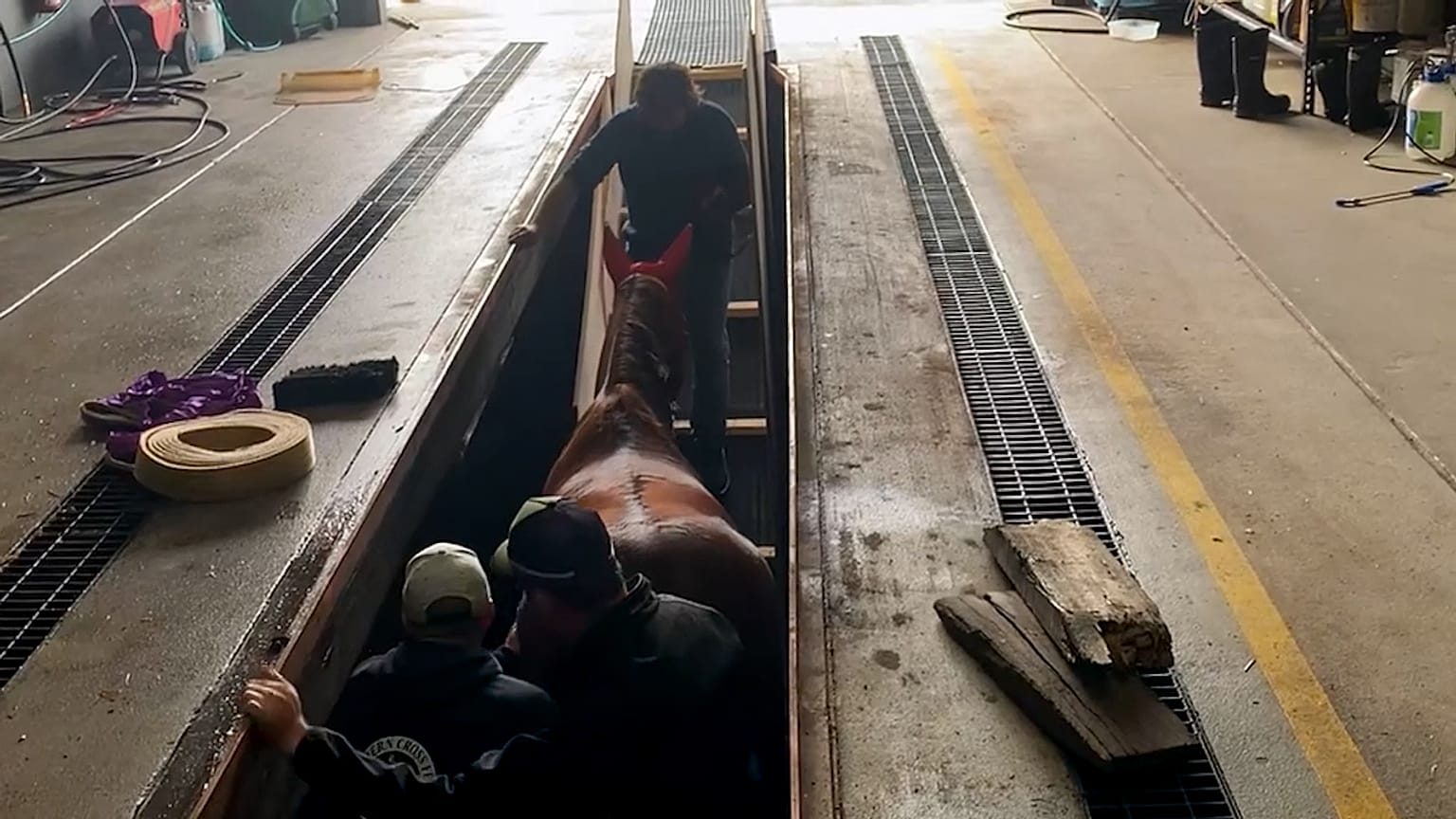 Firefighters rescued a horse, that fell into a six-foot truck-washing pit.