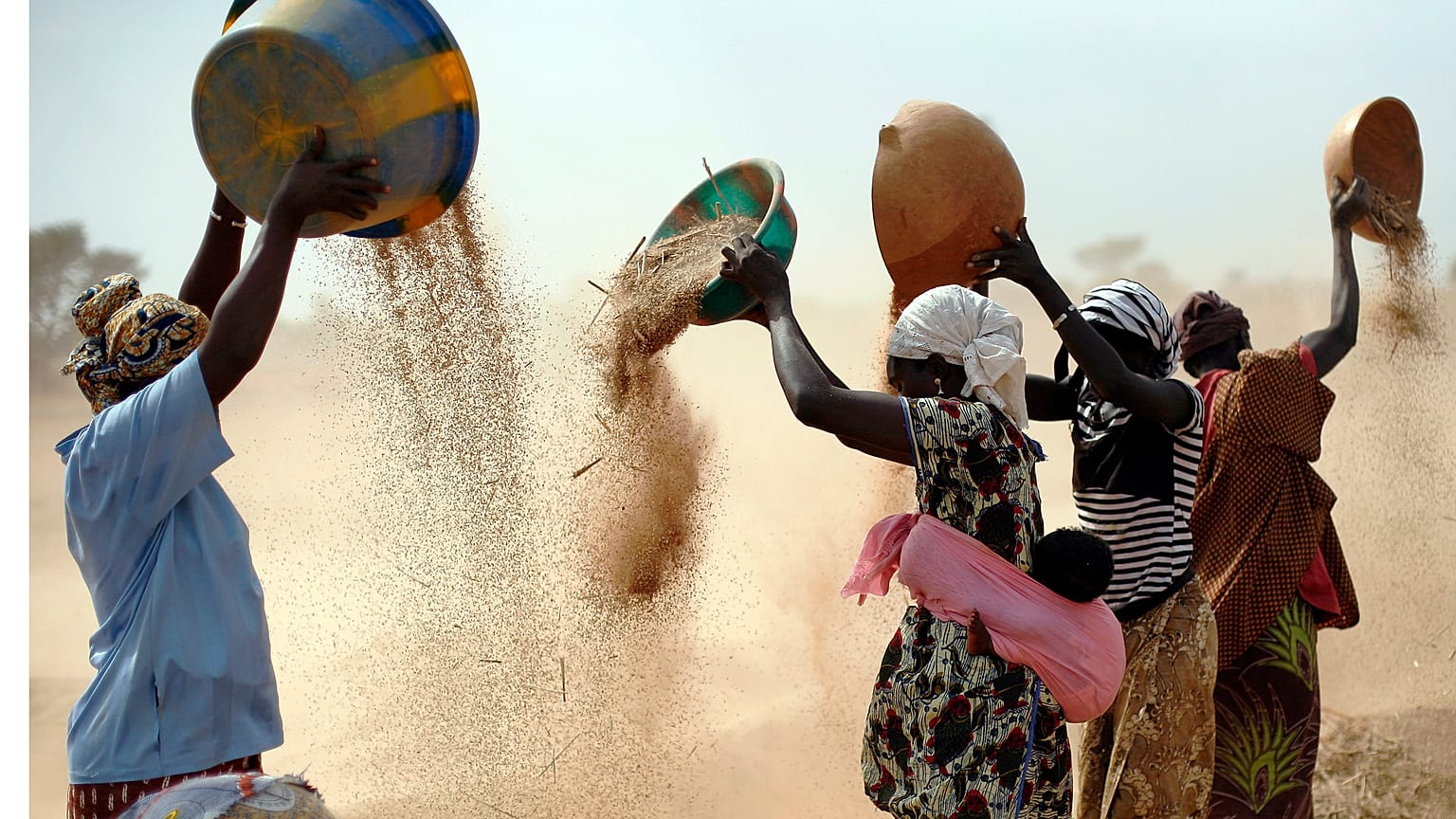 Malian women sift wheat in a field near Segou, Mali, January 2013. In 2022, families in Africa are paying 45% more for wheat flour as Russia's war in Ukraine blocks exports.
