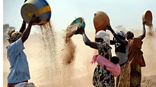 Malian women sift wheat in a field near Segou, Mali, January 2013. In 2022, families in Africa are paying 45% more for wheat flour as Russia's war in Ukraine blocks exports.