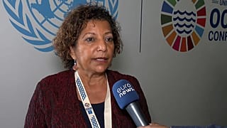 Lídia Cardoso, a ministra do Mar de Moçambique