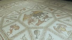 Il mosaico di Lod
