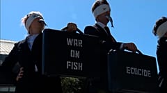 Ativistas contra a pesca intensiva