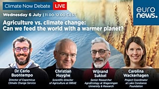 Agriculture vs. climate change: Can we feed the world with a warmer planet?