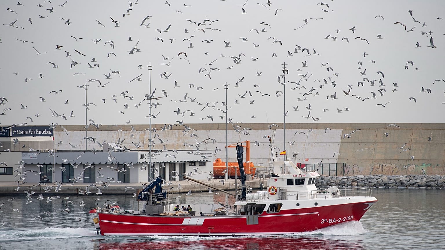 L'ONU estime que la croissance de la pêche est essentielle pour mettre fin à la malnutrition et à la faim dans le monde