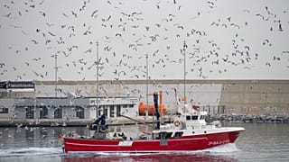 L'ONU estime que la croissance de la pêche est essentielle pour mettre fin à la malnutrition et à la faim dans le monde