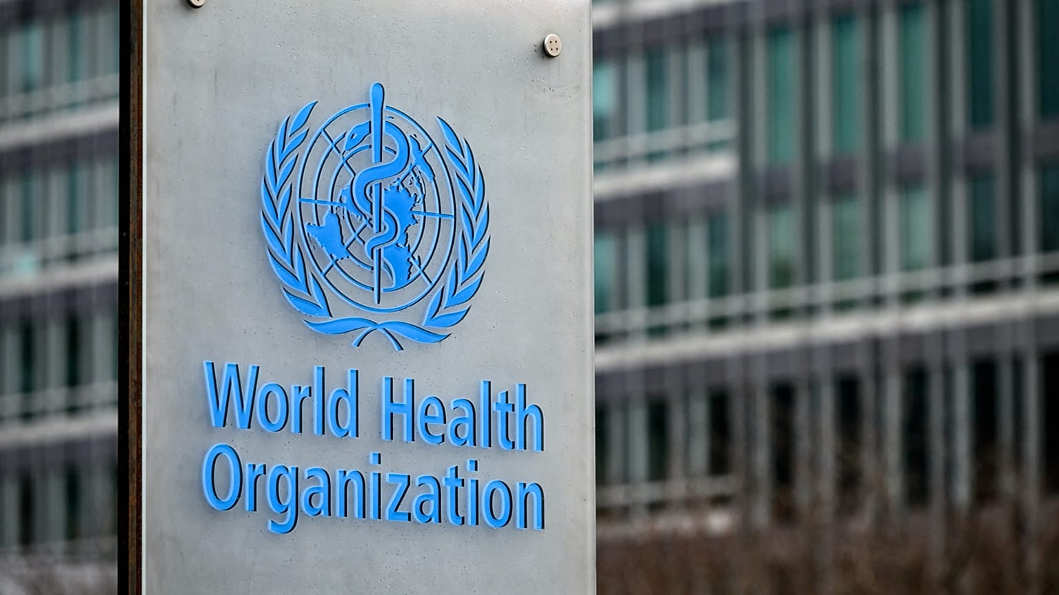 Organização Mundial da Saúde pede prudência no período de férias.