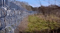 Kerítés a magyar-szerb határsávon