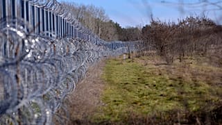 Kerítés a magyar-szerb határsávon