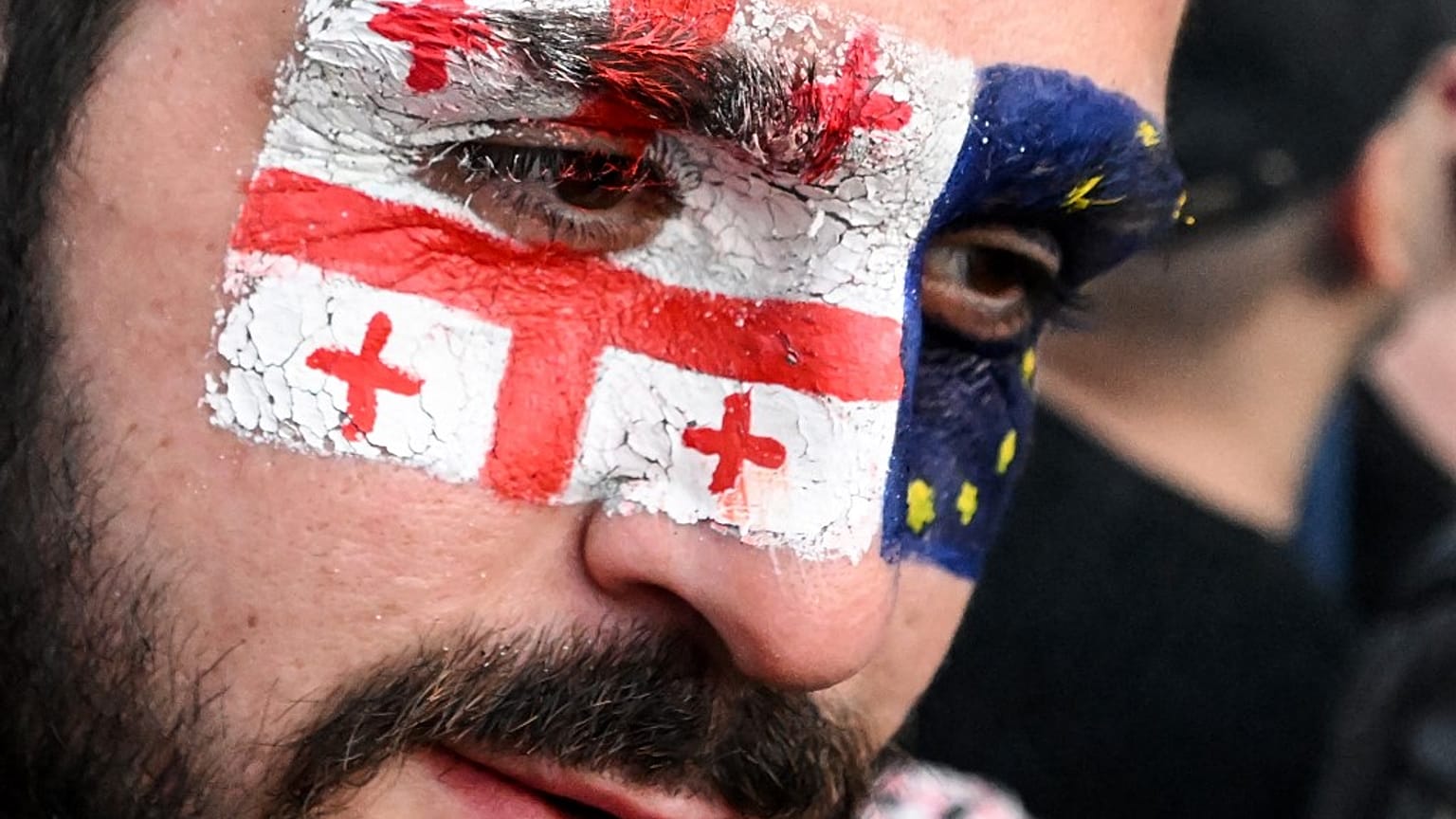 Протестующий перед зданием парламента Грузии в Тбилиси
