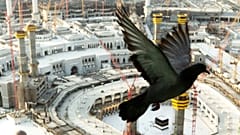 حمامة تحلق فوق المسجد الحرامK قبل يوم من موسم الحج، السبت 17 يوليو 2021.