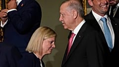 İsveç Başbakanı Andersson, Cumhurbaşkanı Erdoğan