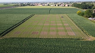 European Recreative Organic Center (EROC)