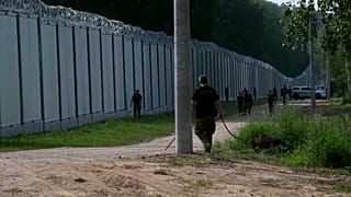 La valla fronteriza en el bosque de Bialowieza