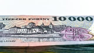 Tízezer forintos bankjegyek