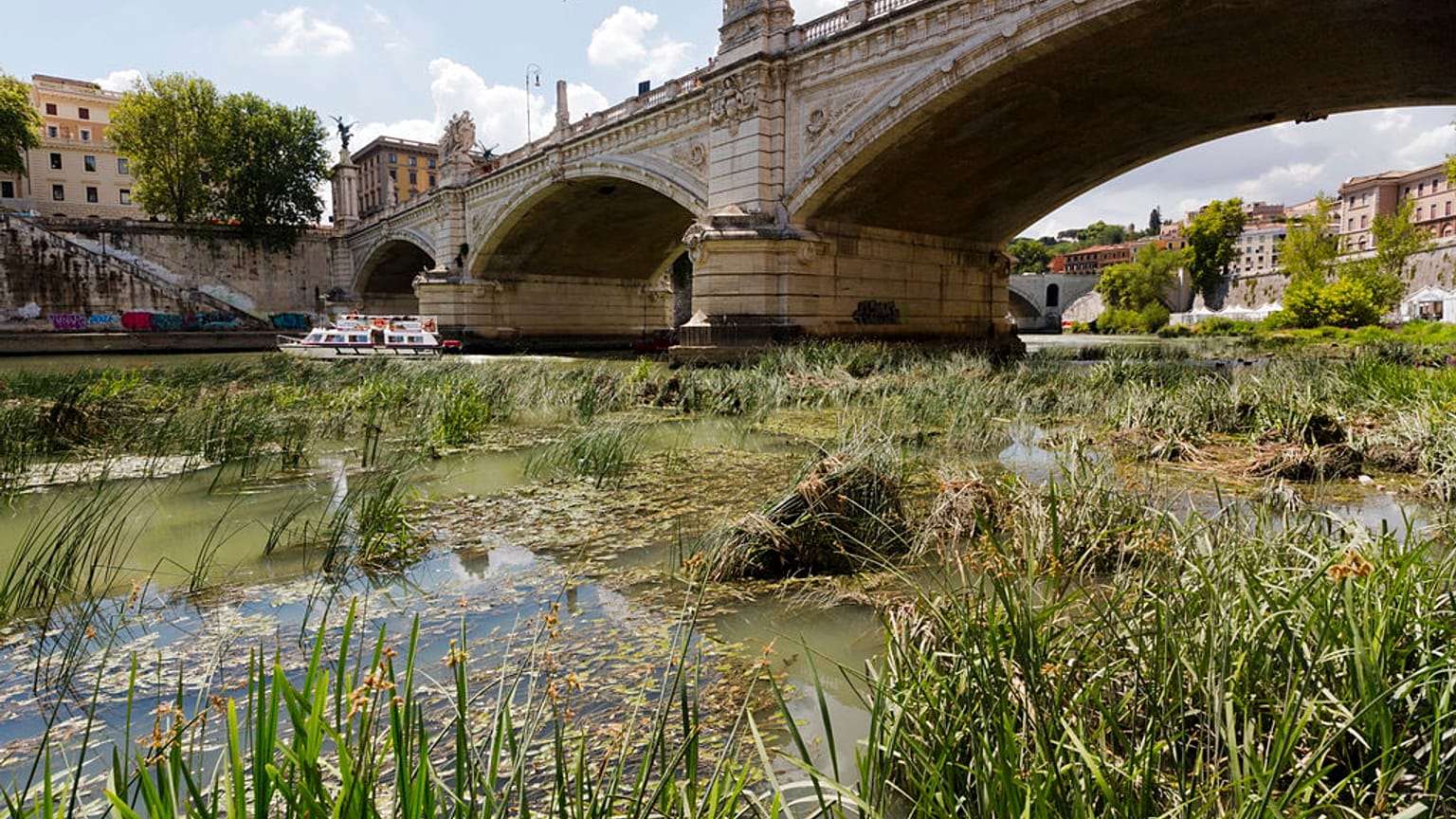 il Tevere in secca
