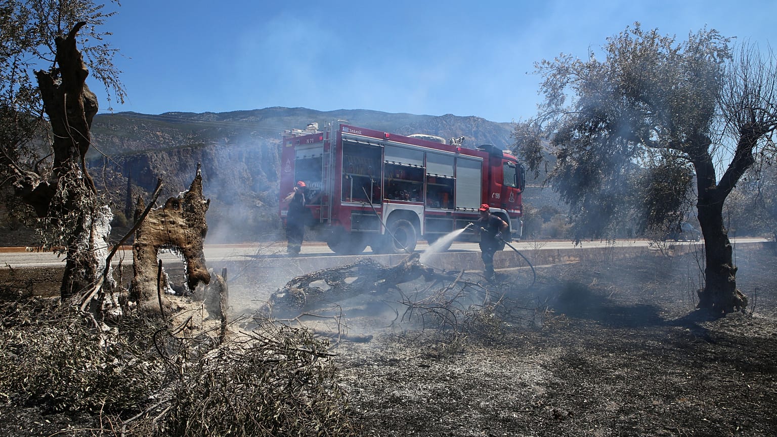 ΕΙΚΟΝΑ ΑΡΧΕΙΟΥ