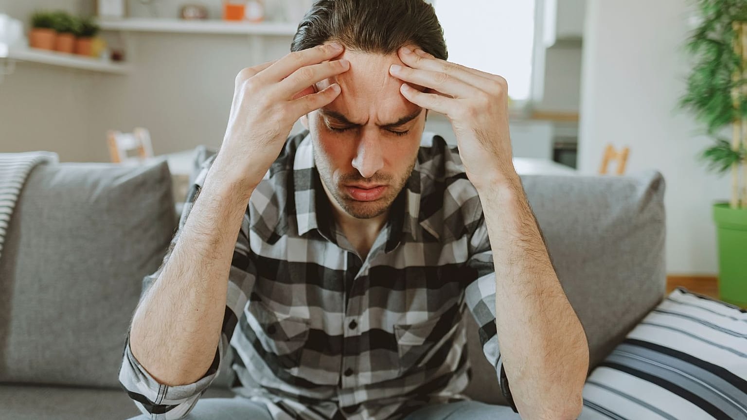 The pill is said to make hangovers more tolerable, but how does it work?