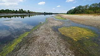 The effects of drought - Linarolo, near Pavia, Italy, June 25, 2022.