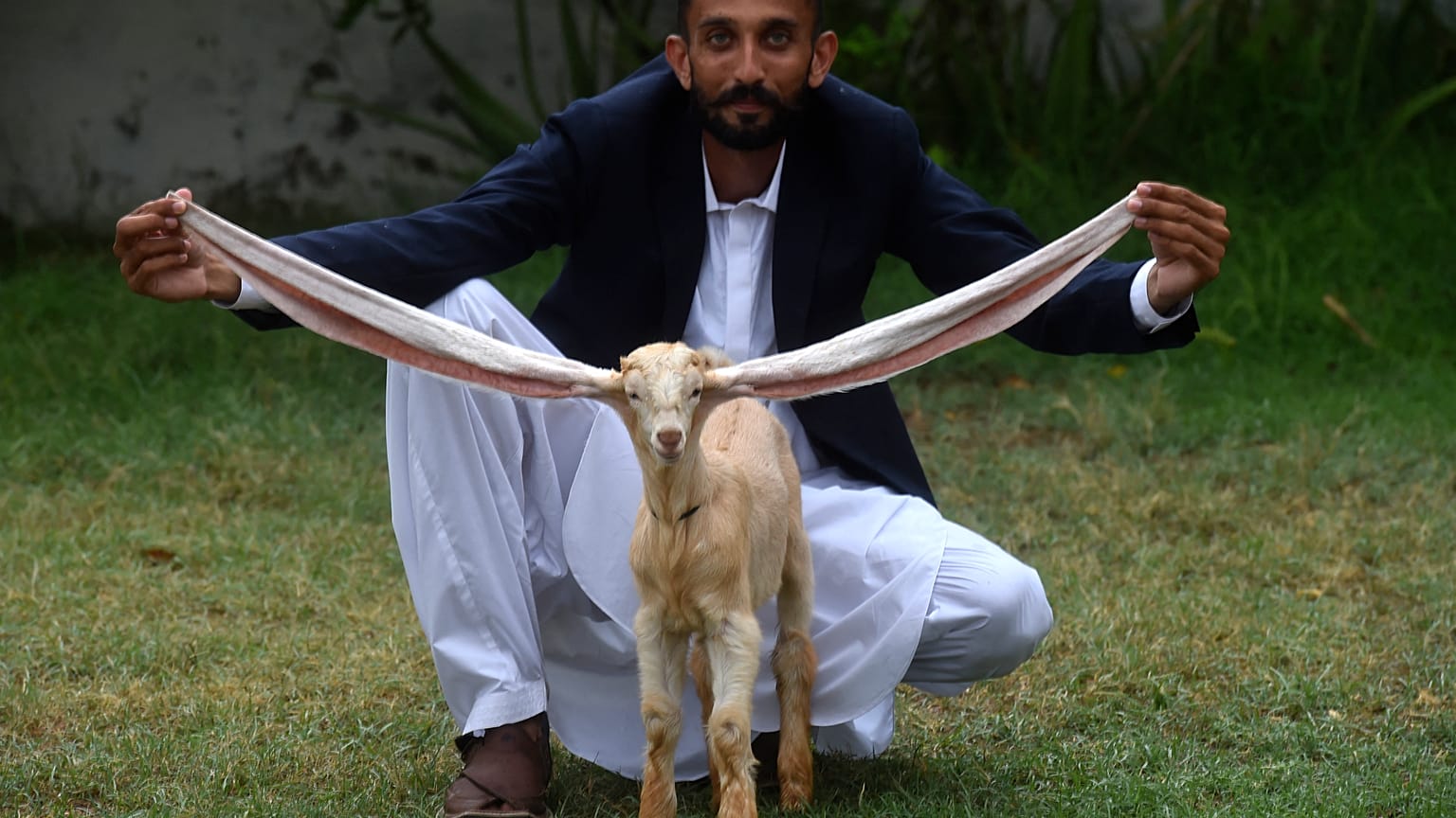 سسس