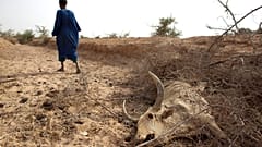 صورة أرشيفية من شمال شرق السنغال عام 2012