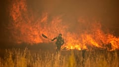 Waldbrände drohen dieses Jahr in Europa zum Alptraum zu werden