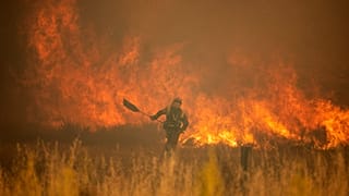 Europa, seriamente amenaza por una dura temporada de incendios forestales