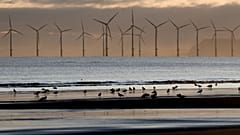  Offshore wind projects are the stars of the latest CfD awards, set to supply almost 7GW of the total.