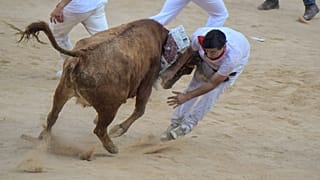 ثور ينطح أحد المشاركين في المهرجان 