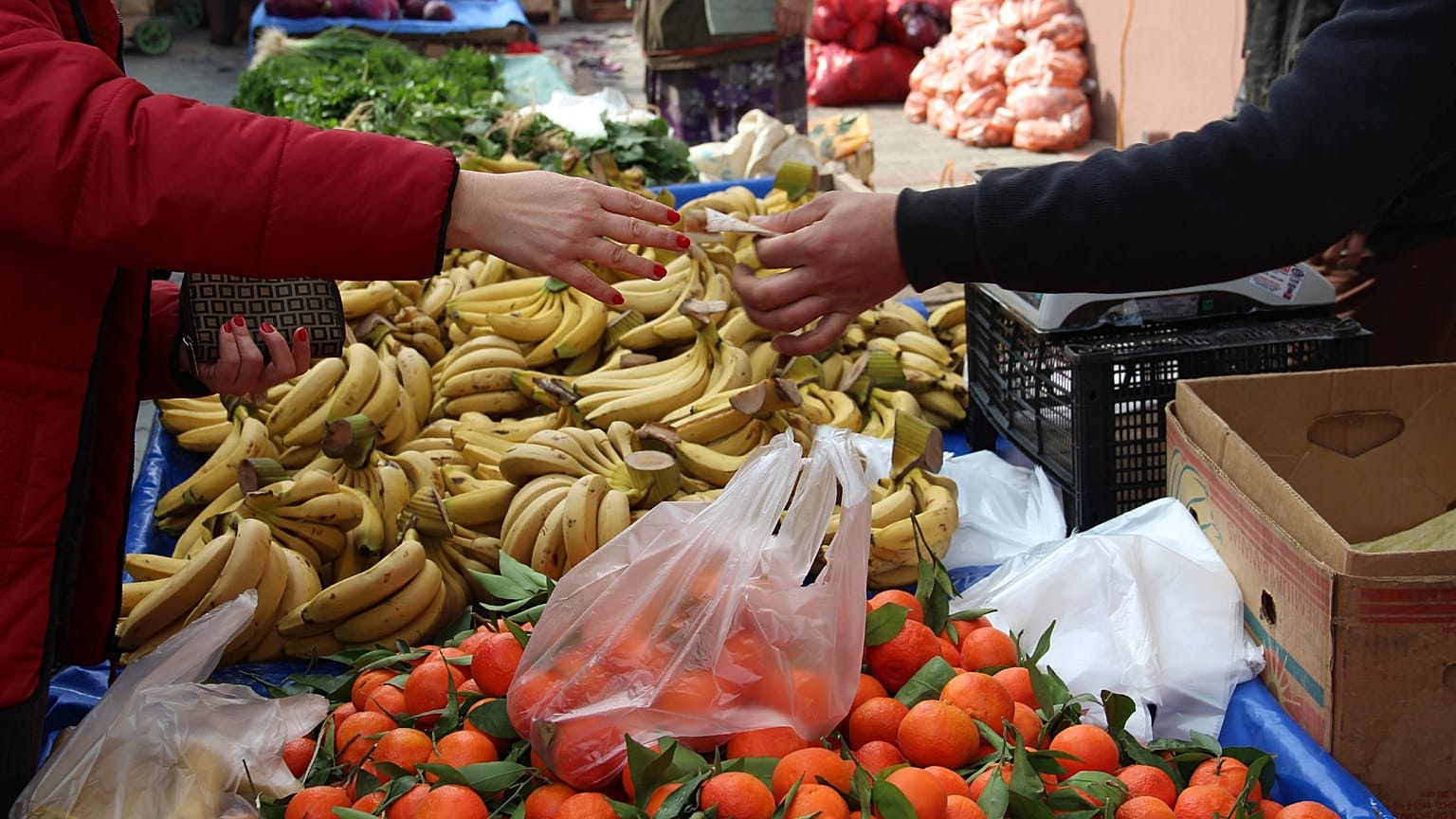 Enflasyon hangi adımlarla düşer ve de alım gücü eriyen hane halkı yüksek enflasyona karşı nasıl korunabilir?