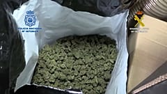 Imagen de la marihuana incautada.