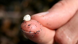 Mikroplastik köpük parçası
