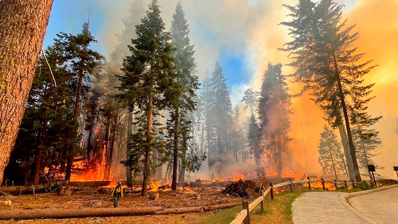 Πυρκαγιά στο Εθνικό Πάρκο Yosemite της Καλιφόρνια