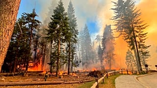 Πυρκαγιά στο Εθνικό Πάρκο Yosemite της Καλιφόρνια