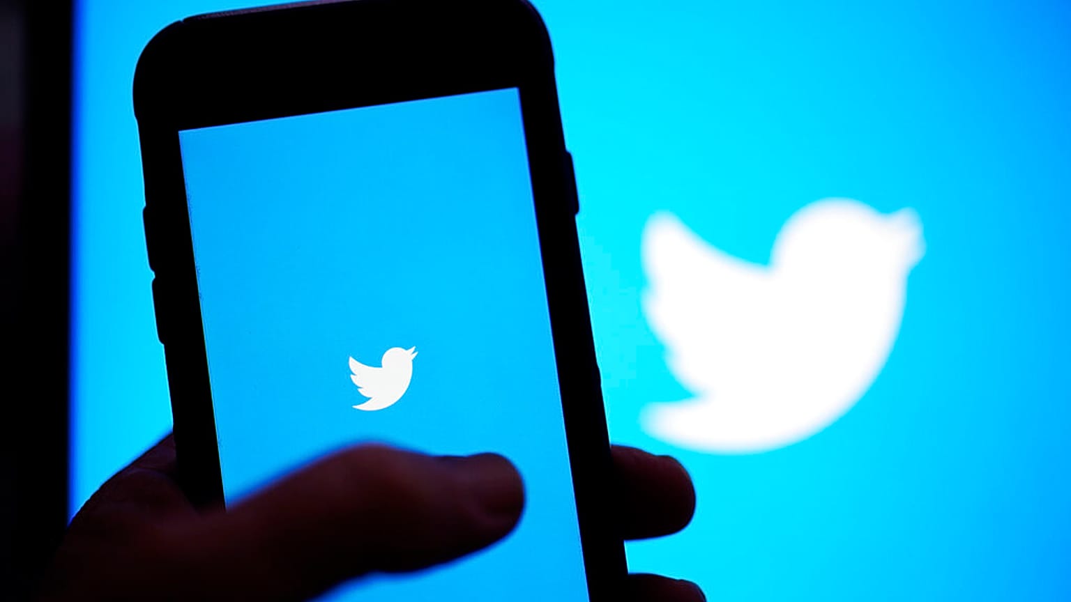 Elon Musk will Twitter nicht mehr kaufen