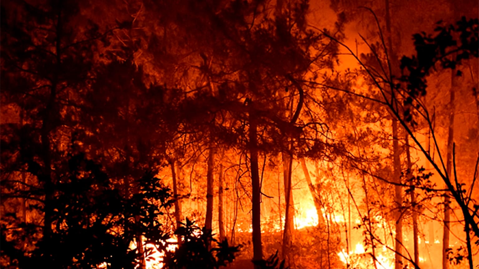 Un feu près de Bordezac dans le sud de la France 