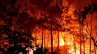 Εικόνα από τις φλόγες που κατέστρεψαν το δάσος στο Σεβέν