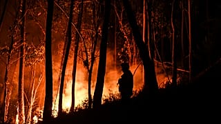 Incêndios em Portugal