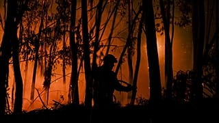 Hitzewelle und Waldbrände: Die Regierung in Portugal hat den Notstand ausgerufen.