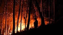 Plus de 1500 pompiers sont mobilisés pour lutter contre plusieurs incendies au Portugal.