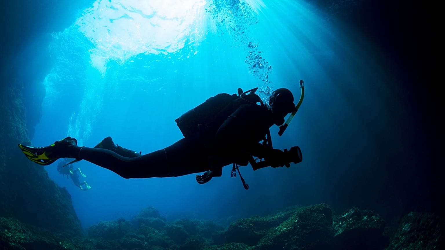 Volunteer scuba divers are planting thousands of seagrass by hand. 