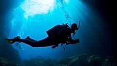 Volunteer scuba divers are planting thousands of seagrass by hand. 